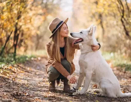 Como adestrar cachorro? Confira esses aplicativos gratuito ( Imagem: Freepik)