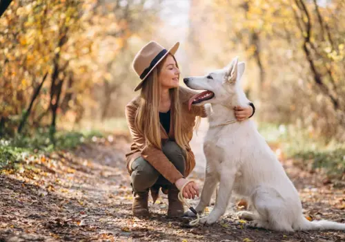 Como adestrar cachorro? Confira esses aplicativos gratuito ( Imagem: Freepik)