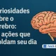 Curiosidades sobre o cérebro: 10 ações que moldam seu dia - Canal Tech